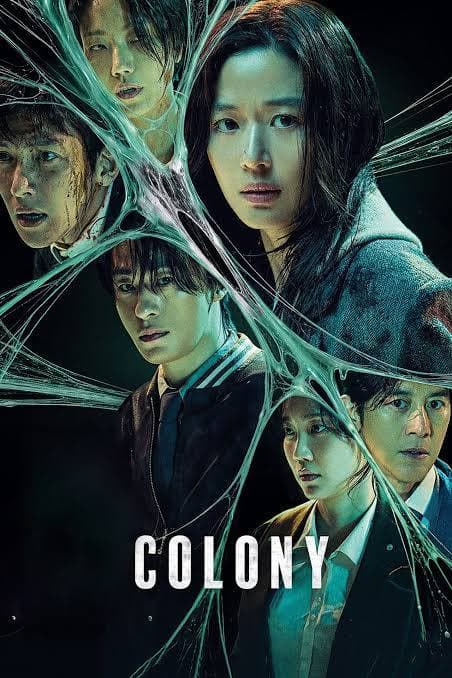 Colony